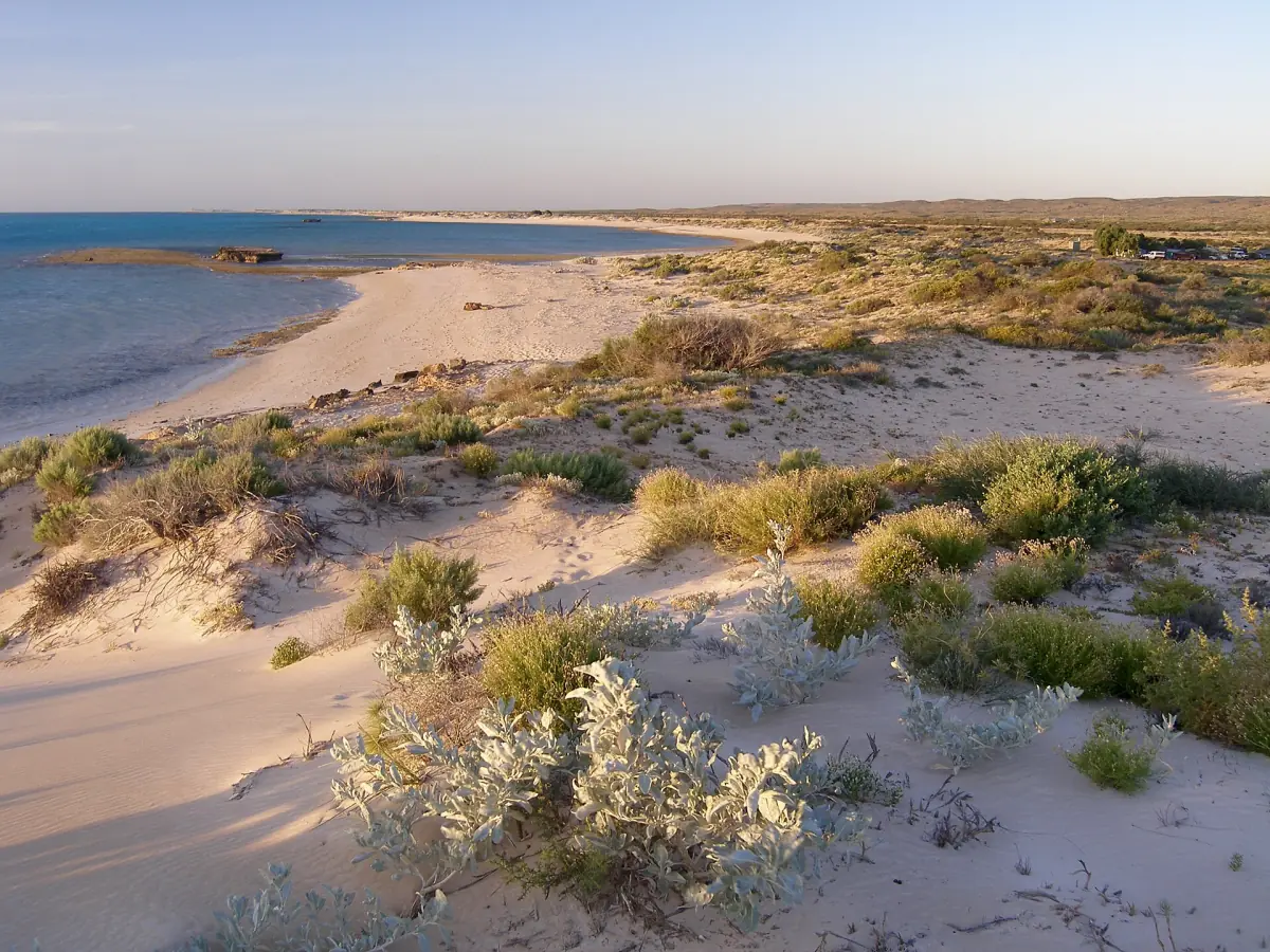Der Bereich des Campingplatzes Lakeside Beach im Cape Range Nationalpark