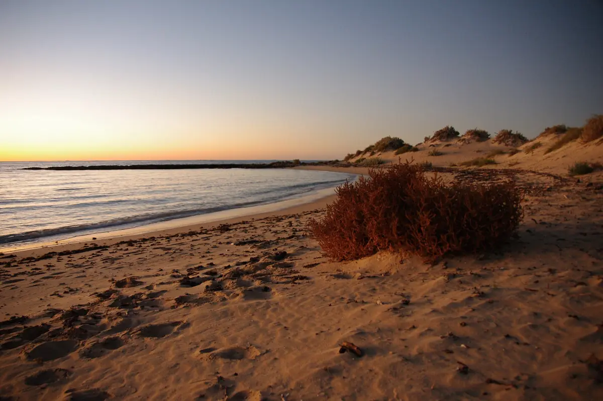 Evening light on a beach of the Ningaloo coast