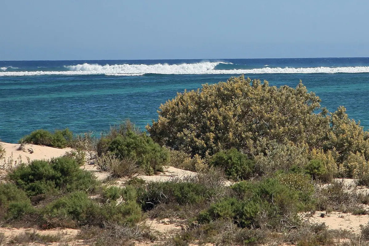 Wellen brechen am äußeren Ningaloo-Riff
