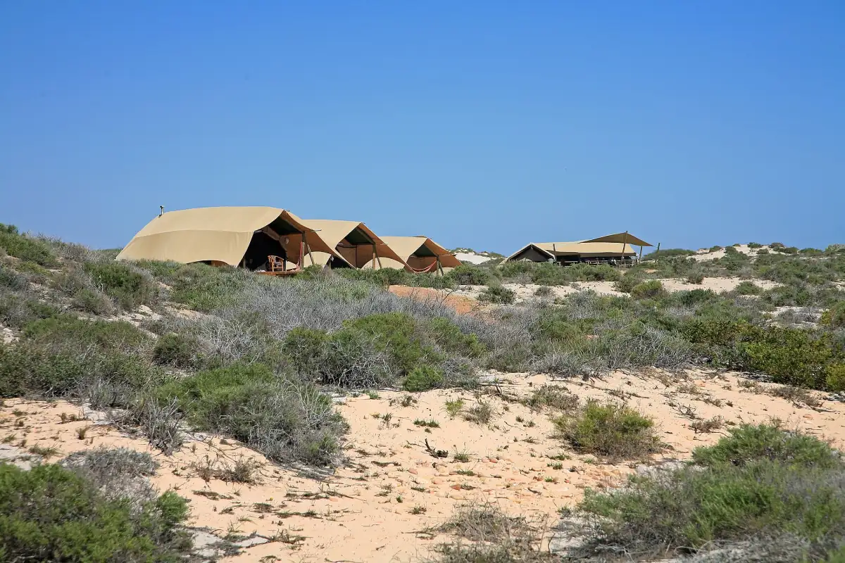 A tented camp in the dunes of Cape Range National Park